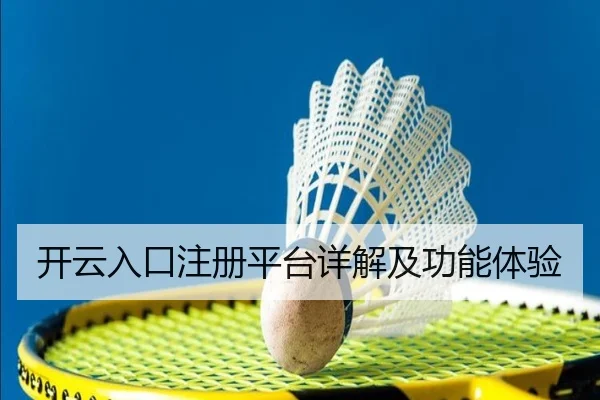 开云入口注册平台详解及功能体验