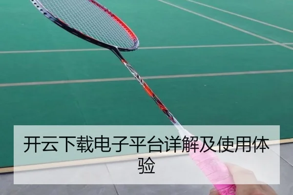 开云下载电子平台详解及使用体验