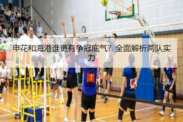申花和海港谁更有争冠底气？全面解析两队实力