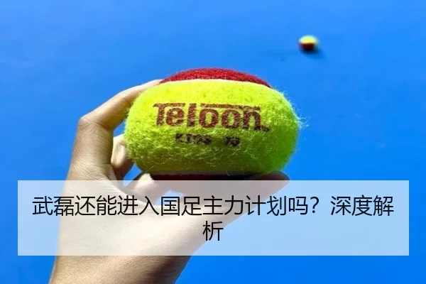 武磊还能进入国足主力计划吗？深度解析
